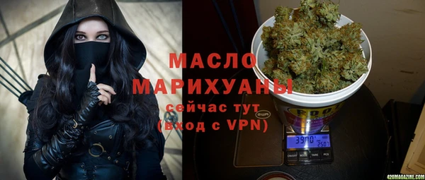 сатива Беломорск