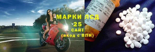 сатива Беломорск