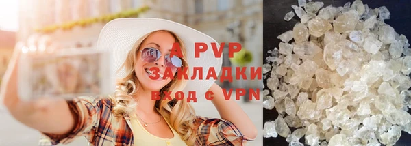 прущие грибы Белокуриха