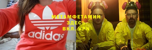 прущие грибы Белокуриха