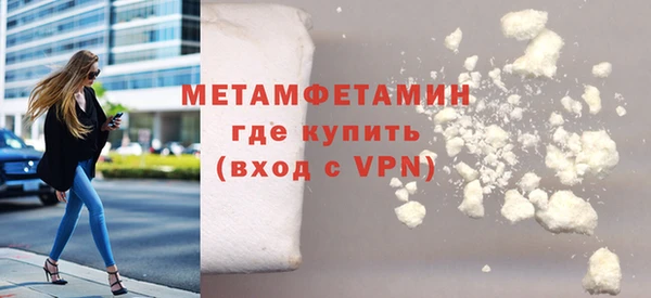 прущие грибы Белокуриха