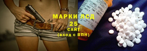 прущие грибы Белокуриха