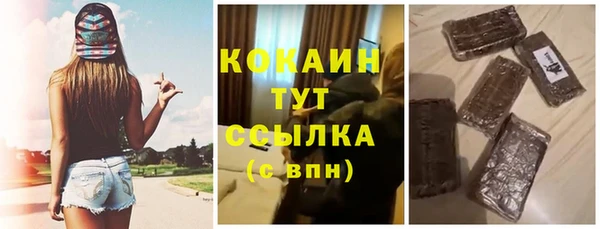 прущие грибы Белокуриха