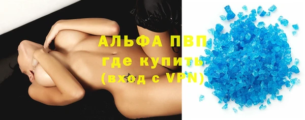 прущие грибы Белокуриха