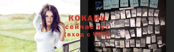 прущие грибы Белокуриха