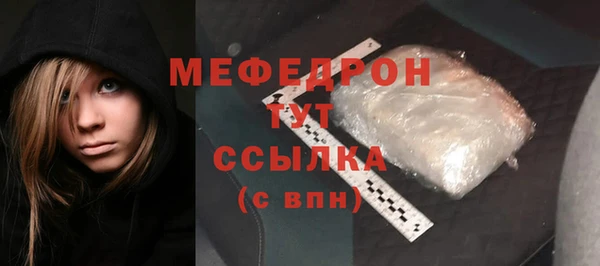 сатива Беломорск