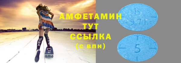 сатива Беломорск