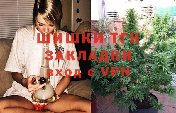 сатива Беломорск