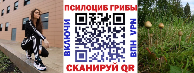 Галлюциногенные грибы Psilocybe  Купить  Корсаков 